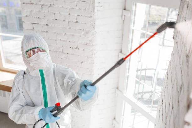 Best Dehumidification Services  in Harlingen, TX