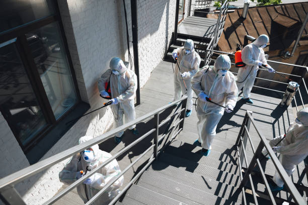 Best Mold Odor Removal Services  in Harlingen, TX