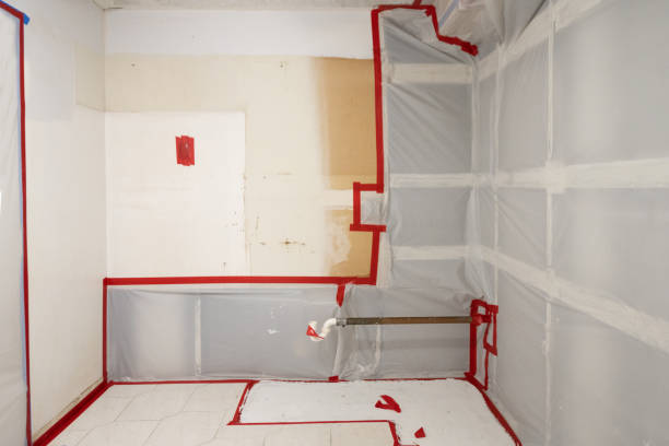 Best Environmental Consulting for Mold Prevention  in Harlingen, TX