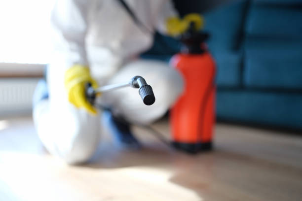 Best Comprehensive Air Testing for Mold Contaminants  in Harlingen, TX