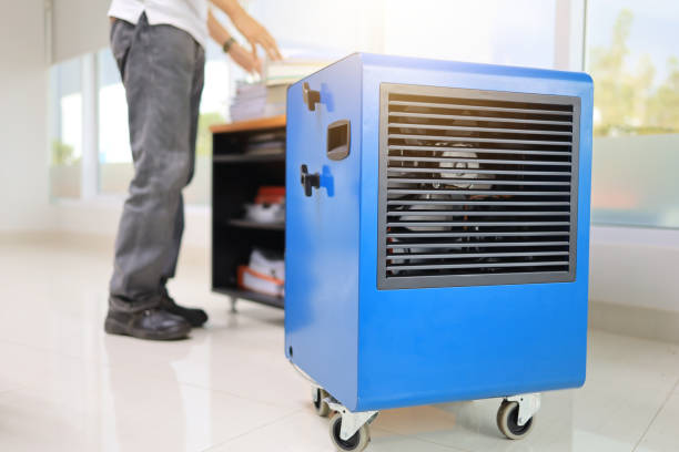 Reliable Harlingen, TX Mold Removal Solutions