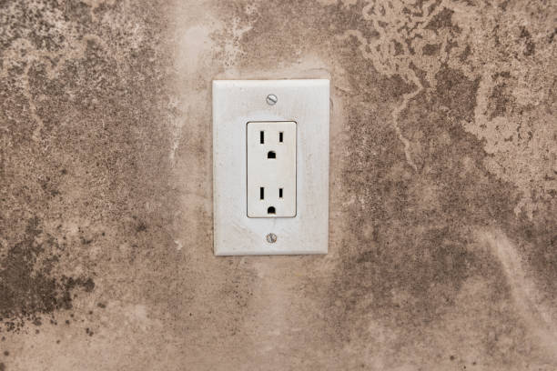 Best Forensic Mold Investigation  in Harlingen, TX